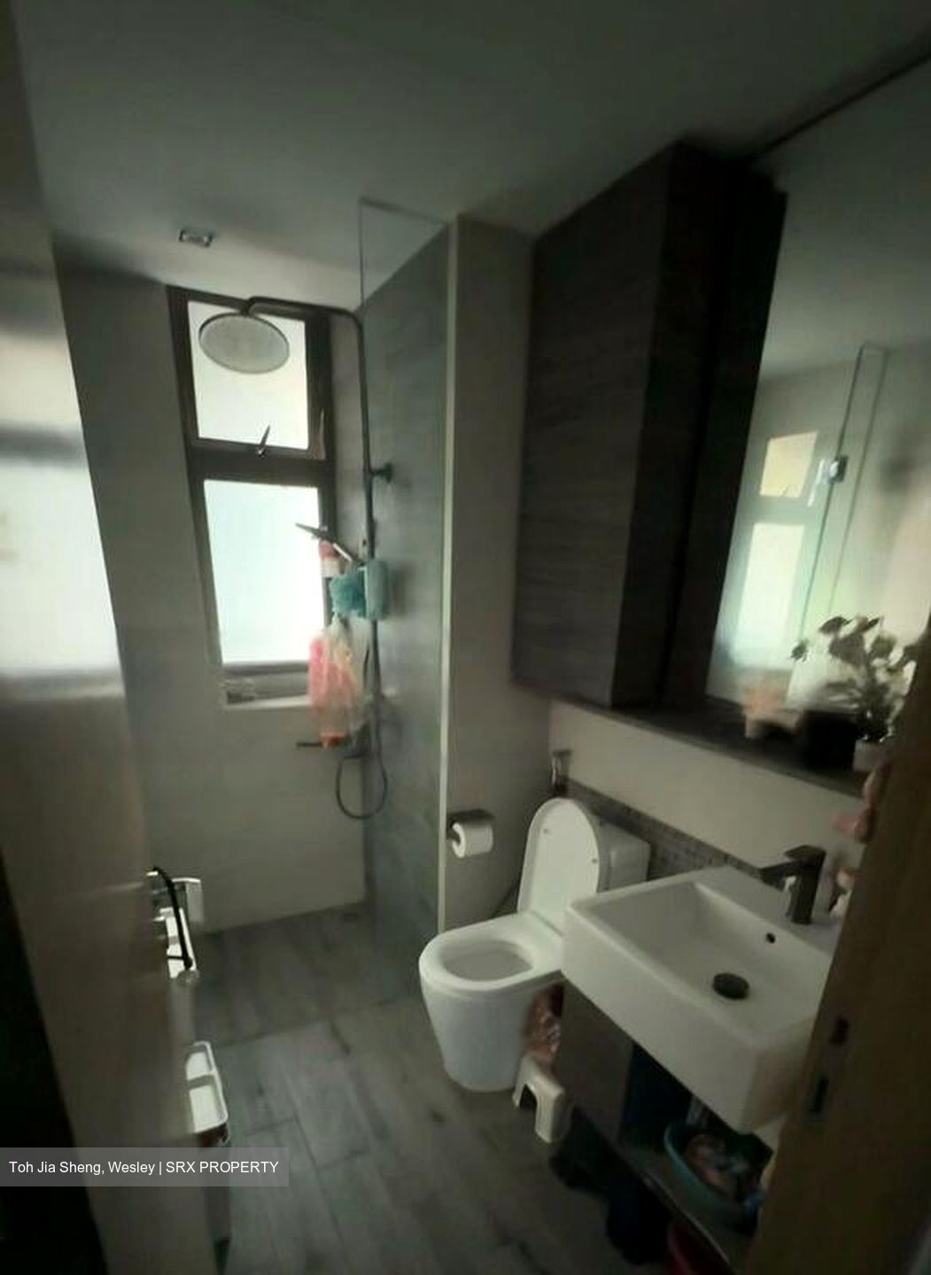 The Terrace (D19), Condominium #460039241
